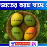 কোন জাতের আম স্বাদে সেরা? জেনে নিন হিমসাগর, ল্যাংড়া, আম্রপালি সহ জনপ্রিয় জাতগুলোর স্বাদের পার্থক্য