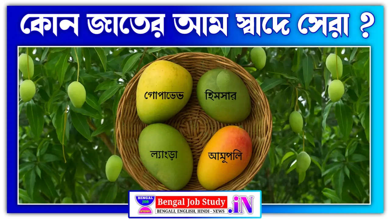 কোন জাতের আম স্বাদে সেরা, জানুন হিমসাগর, ল্যাংড়া, গোপালভোগসহ সেরা আমের তালিকা